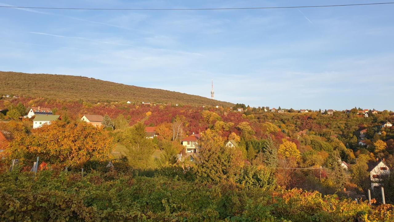 Hillside Cottage Pecs Bagian luar foto