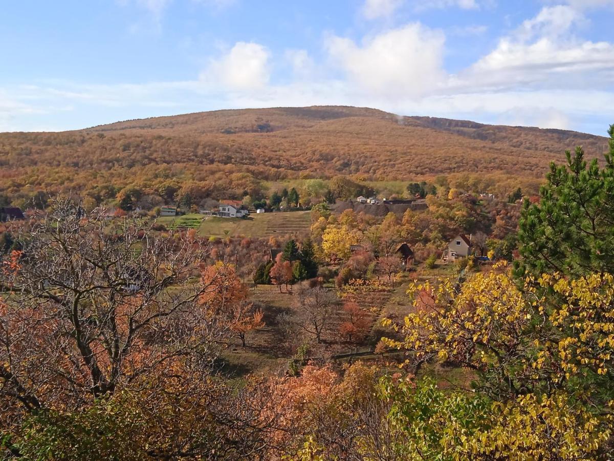 Hillside Cottage Pecs Bagian luar foto