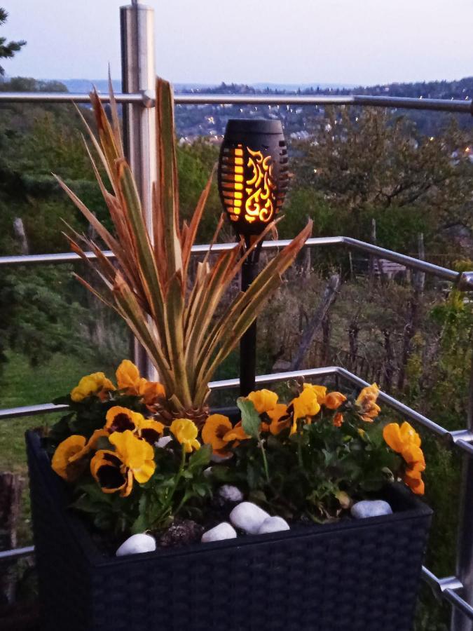 Hillside Cottage Pecs Bagian luar foto
