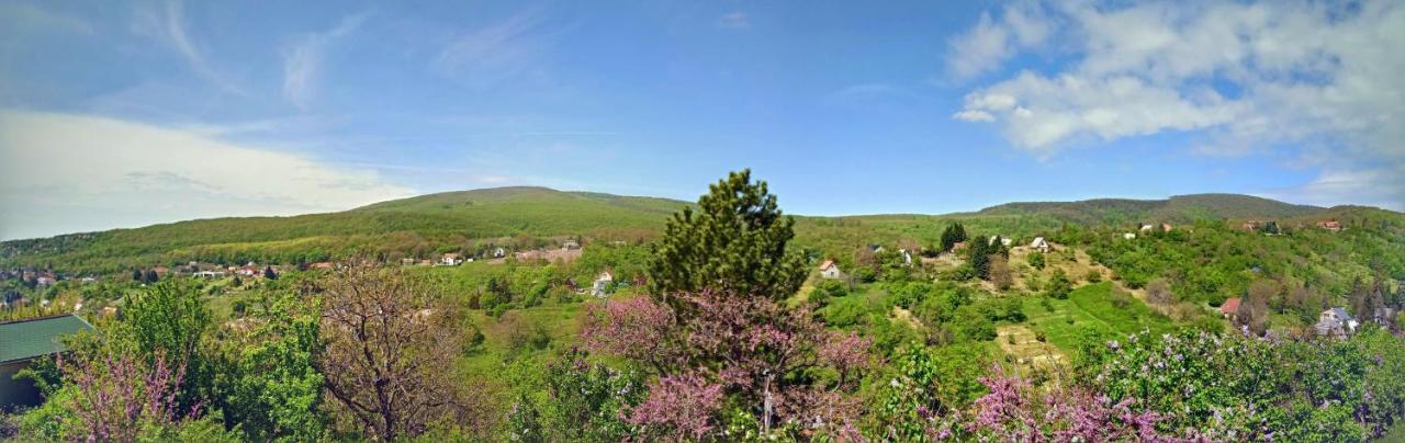 Hillside Cottage Pecs Bagian luar foto